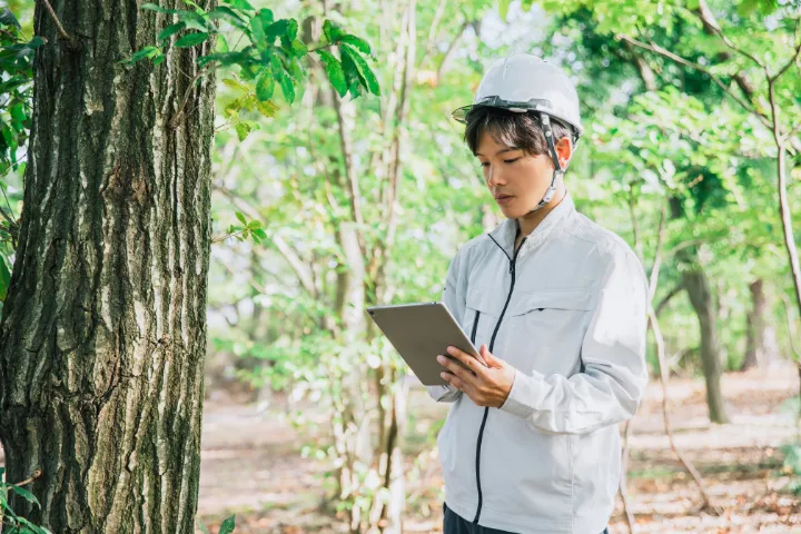 林業で働くアジア男性の画像