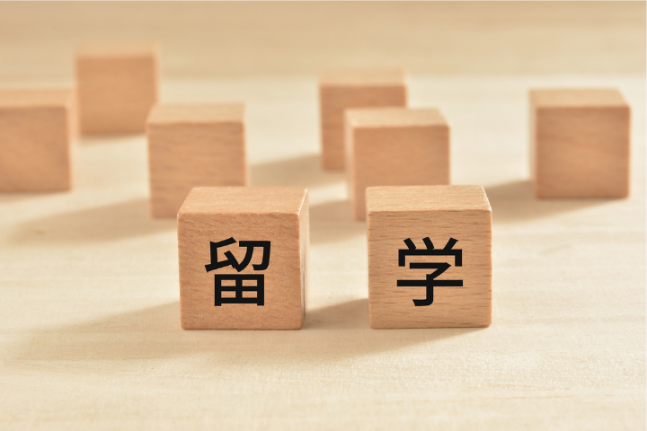 留学の文字が書かれたブロックのイメージ