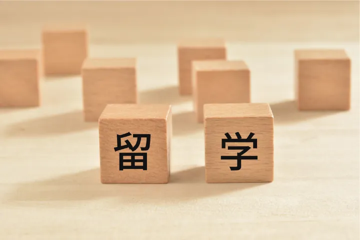 留学の文字が書かれたブロックのイメージ