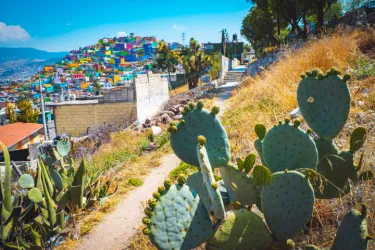 メキシコ・イダルゴ州はどんなところ?主要都市や観光スポット、治安を解説