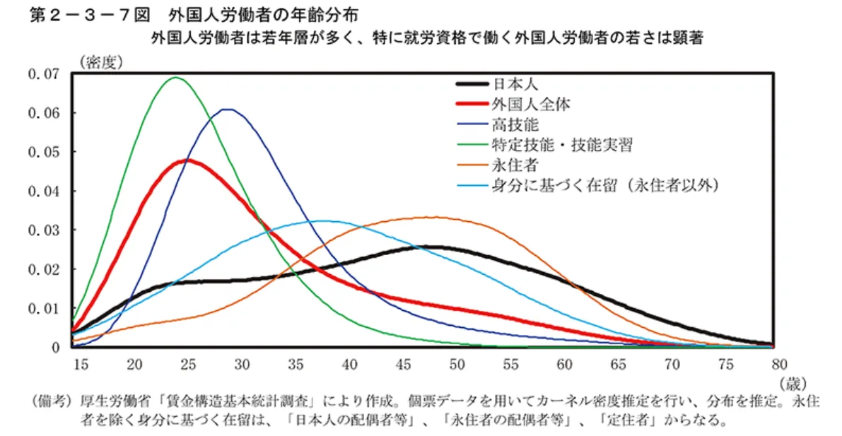 外国人労働者の年齢分布のイメージ